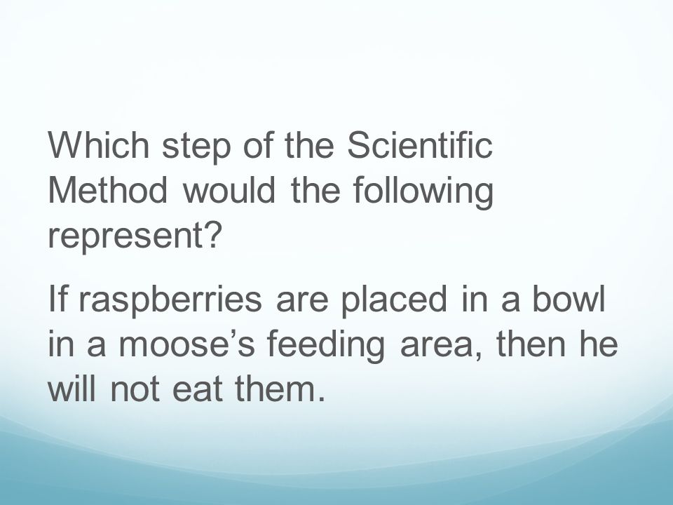 Which step of the Scientific Method would the following represent.