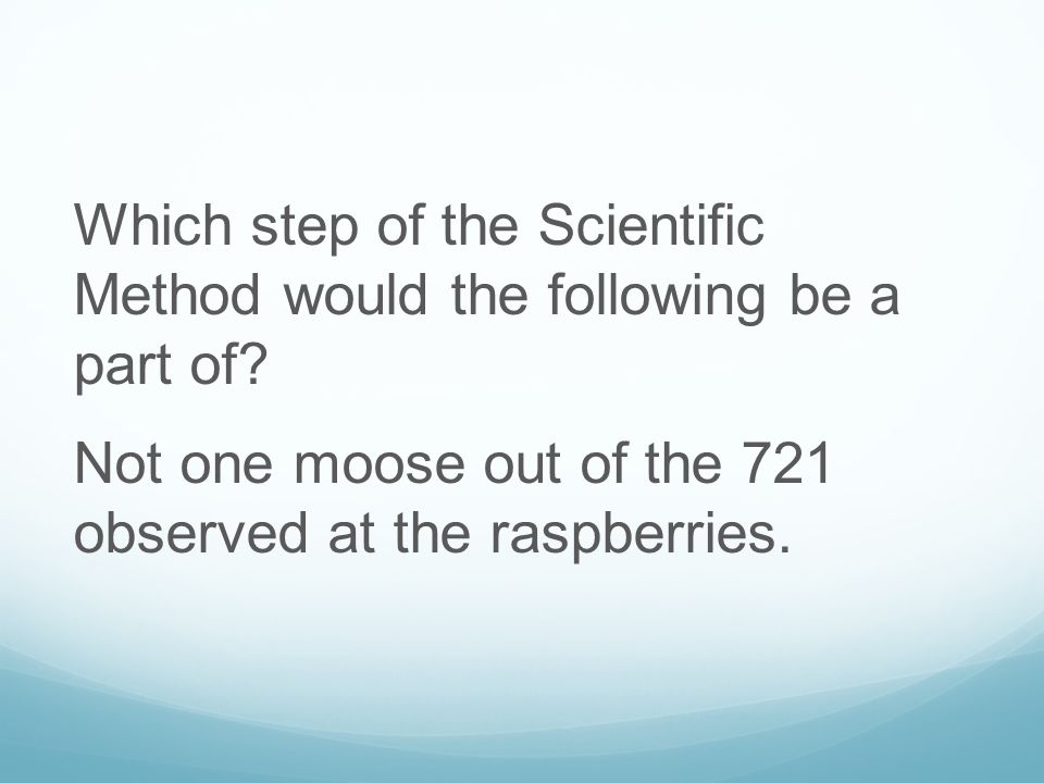 Which step of the Scientific Method would the following be a part of.