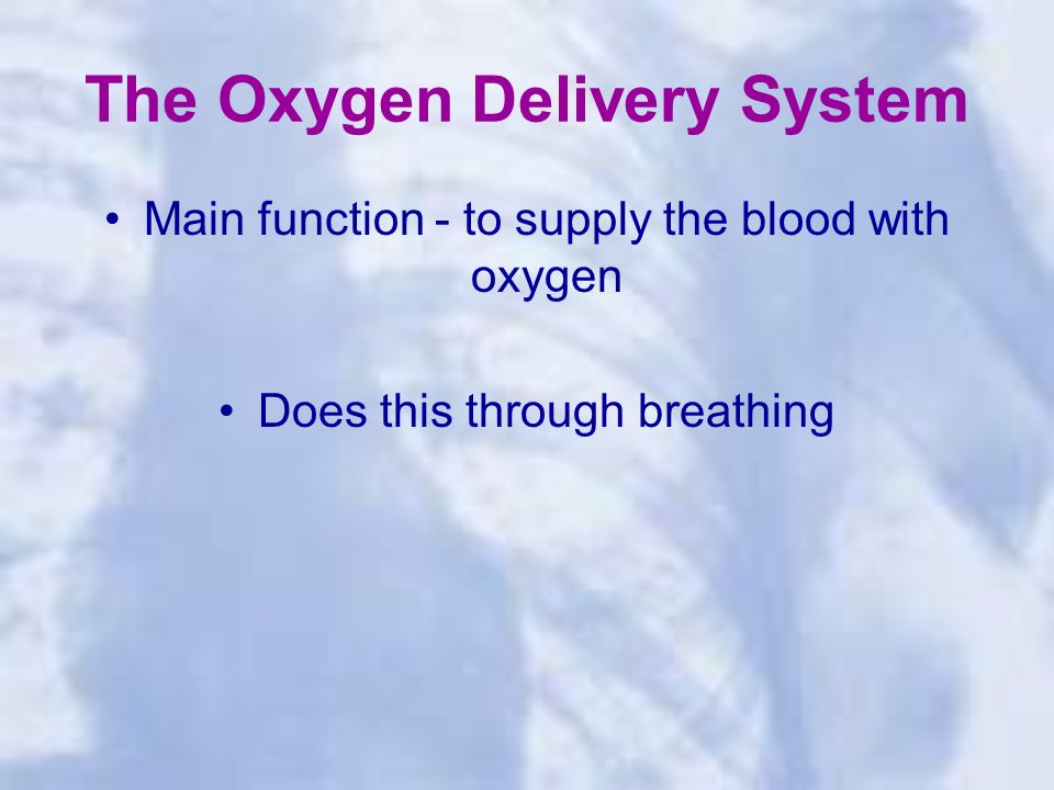 The Oxygen Delivery System Main function - to supply the blood with oxygen Does this through breathing