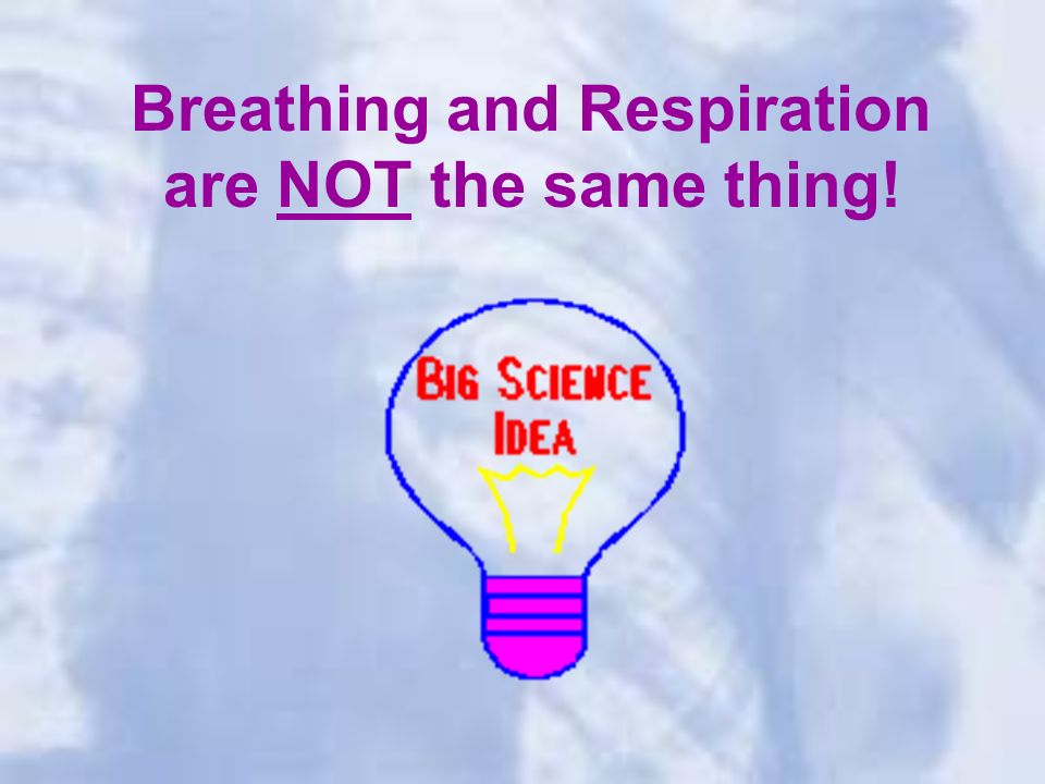 Breathing and Respiration are NOT the same thing!