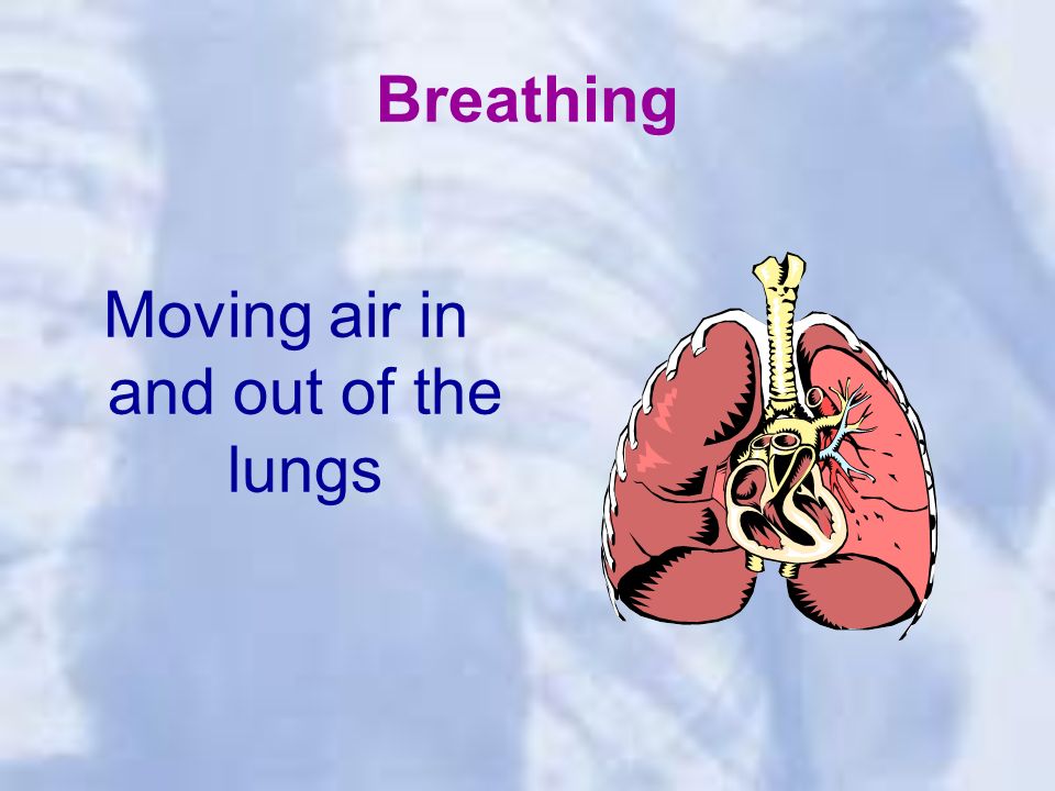 Breathing Moving air in and out of the lungs