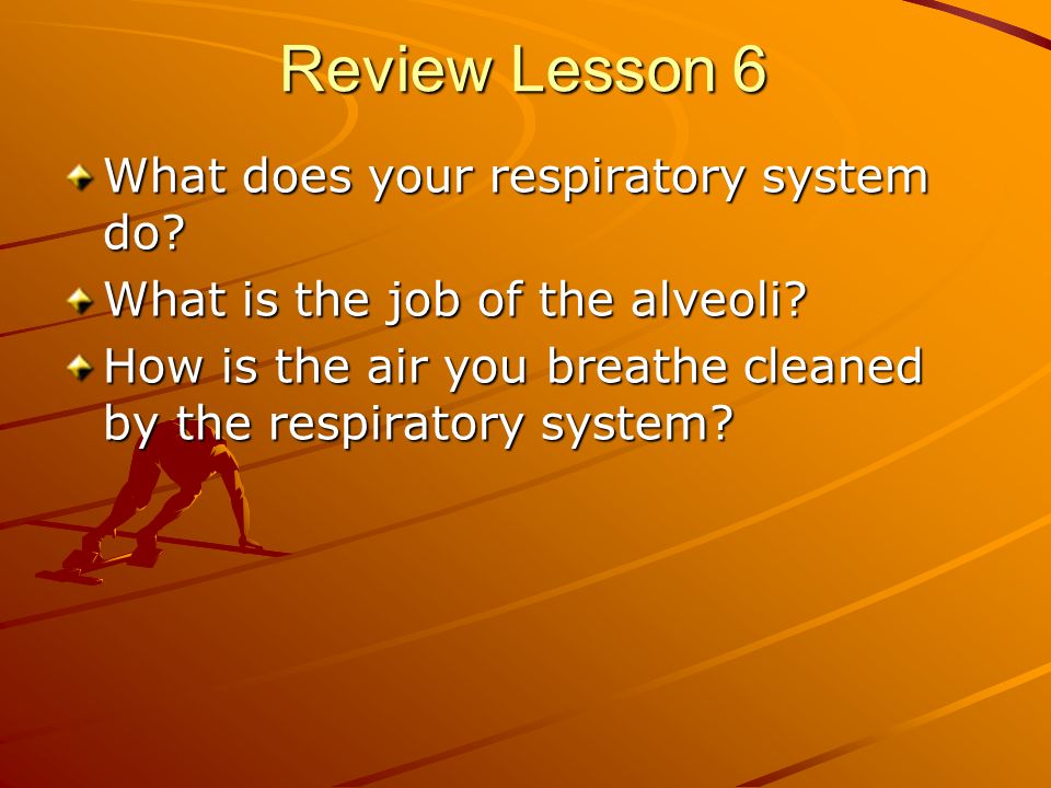 Review Lesson 6 What does your respiratory system do.