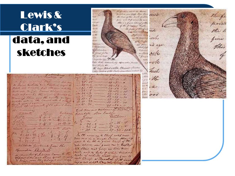 Lewis & Clark’s data, and sketches