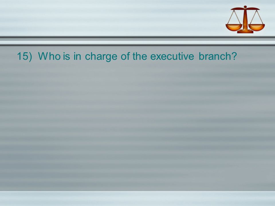 15) Who is in charge of the executive branch