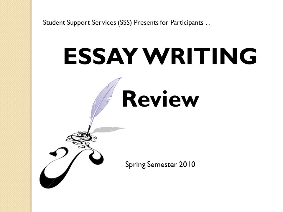 Essay Writing Review
