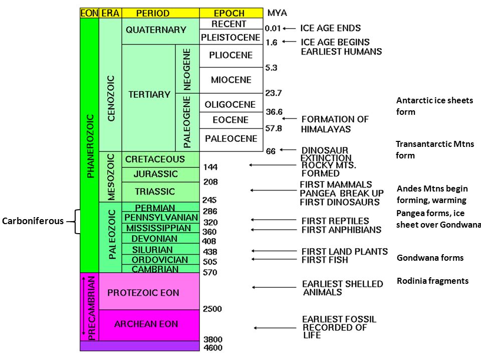 Worksheets Before Pangea, Rodinia Worksheet Answers antarctic origins i geologic timescale ii plate tectonics iii andes mtns begin forming warming pangea forms ice sheet over gondwana rodinia fragments gondwana