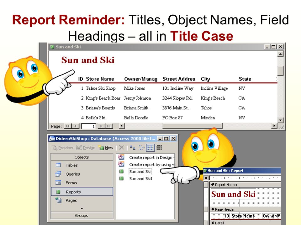 Report Reminder: Titles, Object Names, Field Headings – all in Title Case