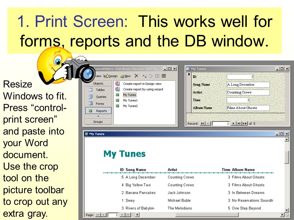 1. Print Screen: This works well for forms, reports and the DB window.