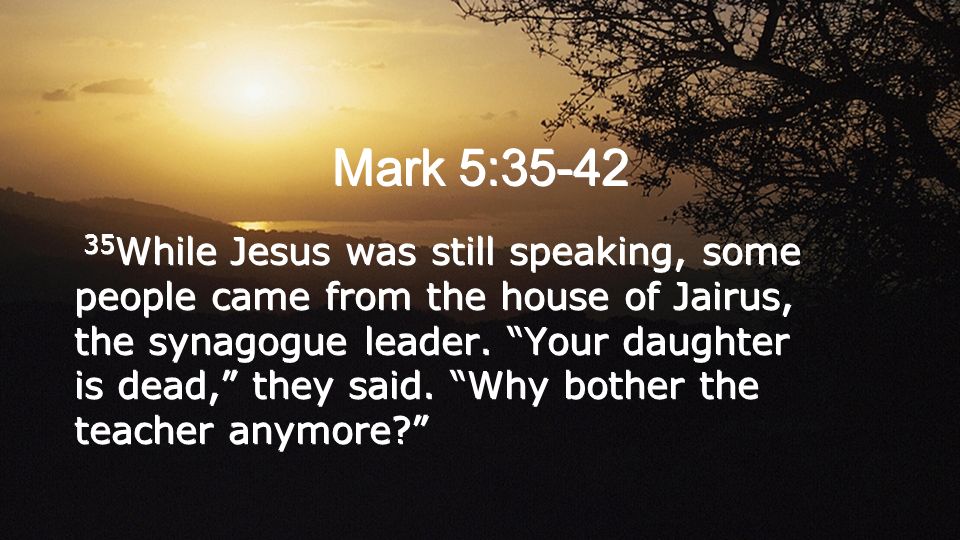Mark 5: While Jesus was still speaking, some people came from the house of Jairus, the synagogue leader.