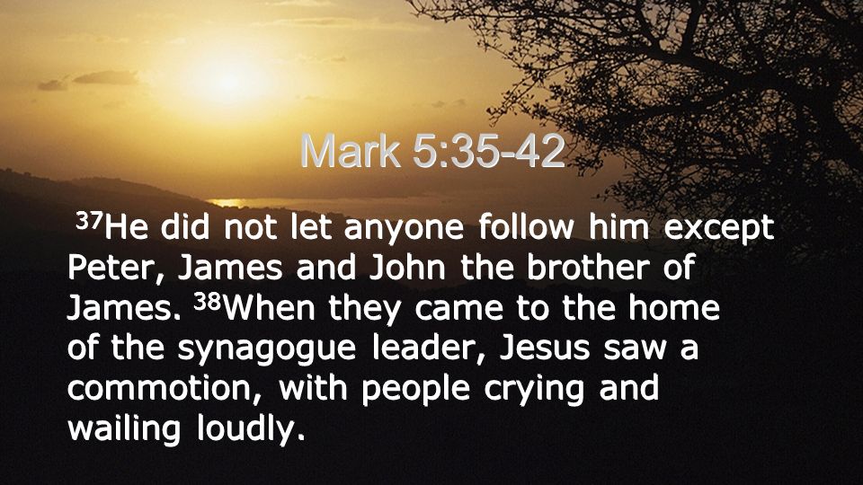Mark 5: He did not let anyone follow him except Peter, James and John the brother of James.