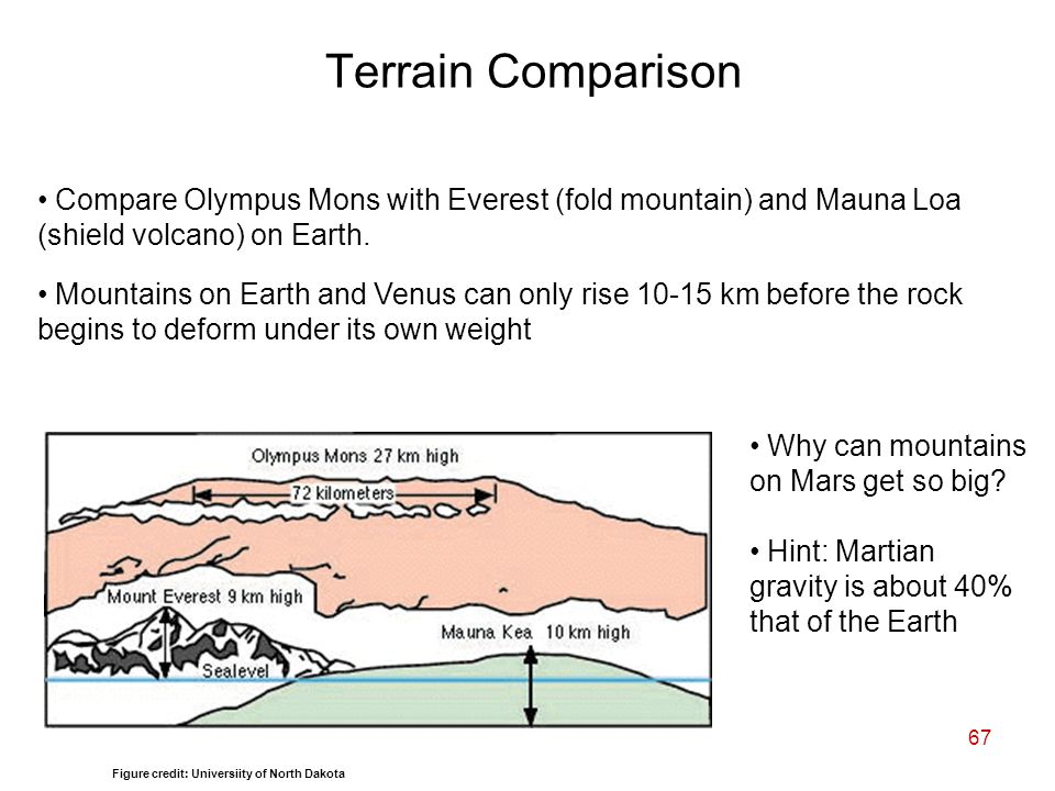 67 Compare Olympus Mons with Everest (fold mountain) and Mauna Loa (shield volcano) on Earth.
