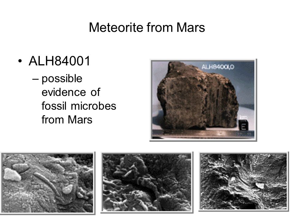 79 Meteorite from Mars ALH84001 –possible evidence of fossil microbes from Mars