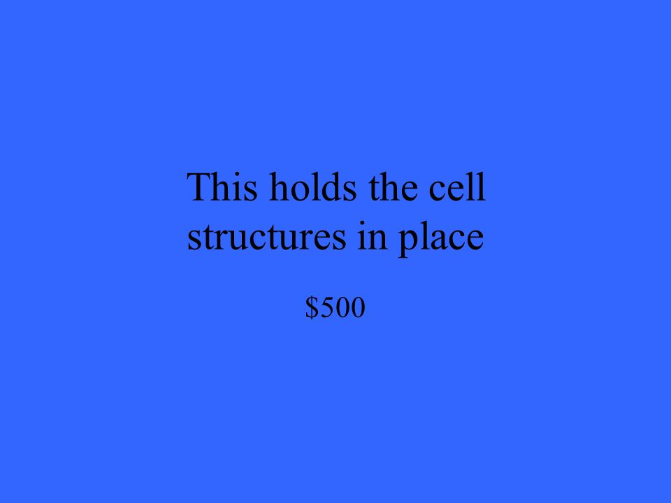 This holds the cell structures in place $500
