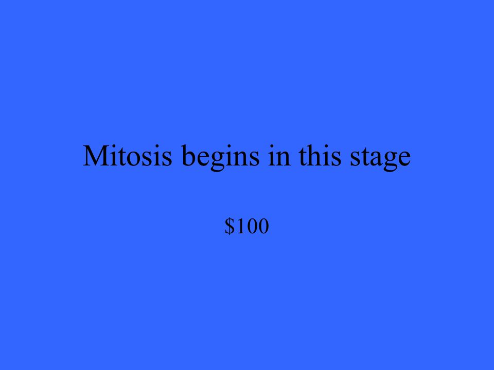 Mitosis begins in this stage $100