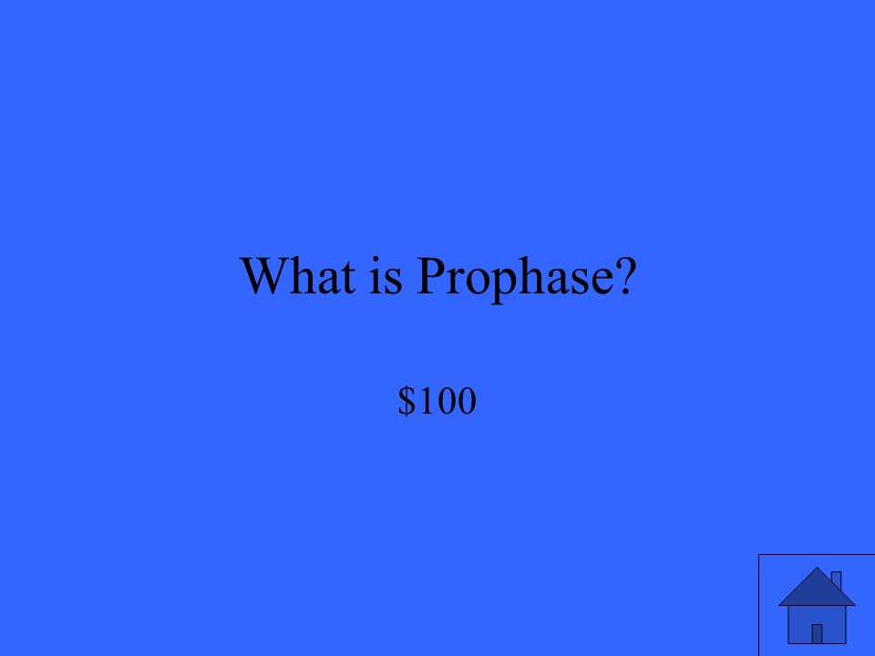 What is Prophase $100