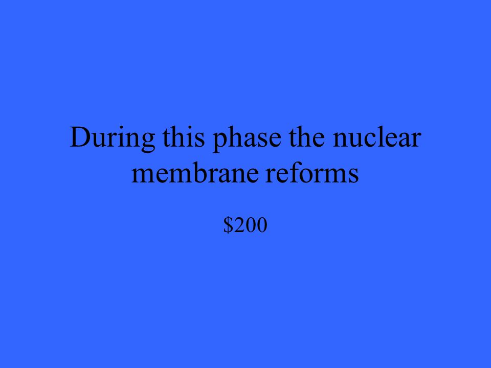 During this phase the nuclear membrane reforms $200