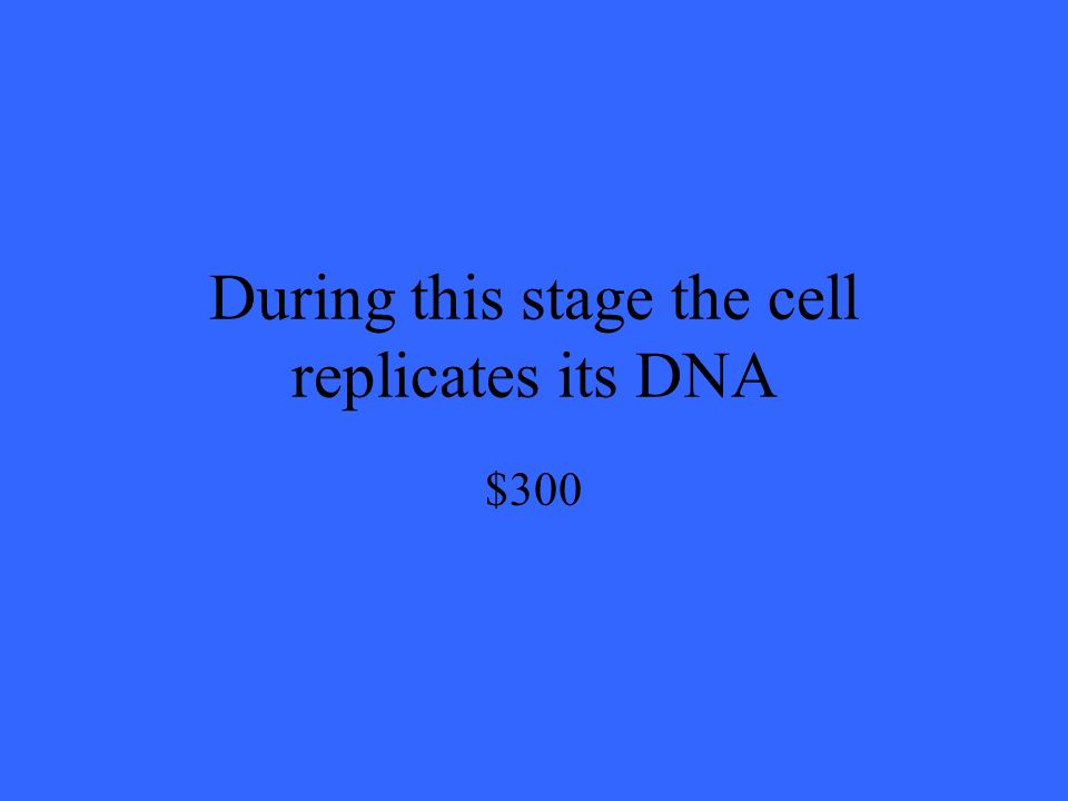 During this stage the cell replicates its DNA $300