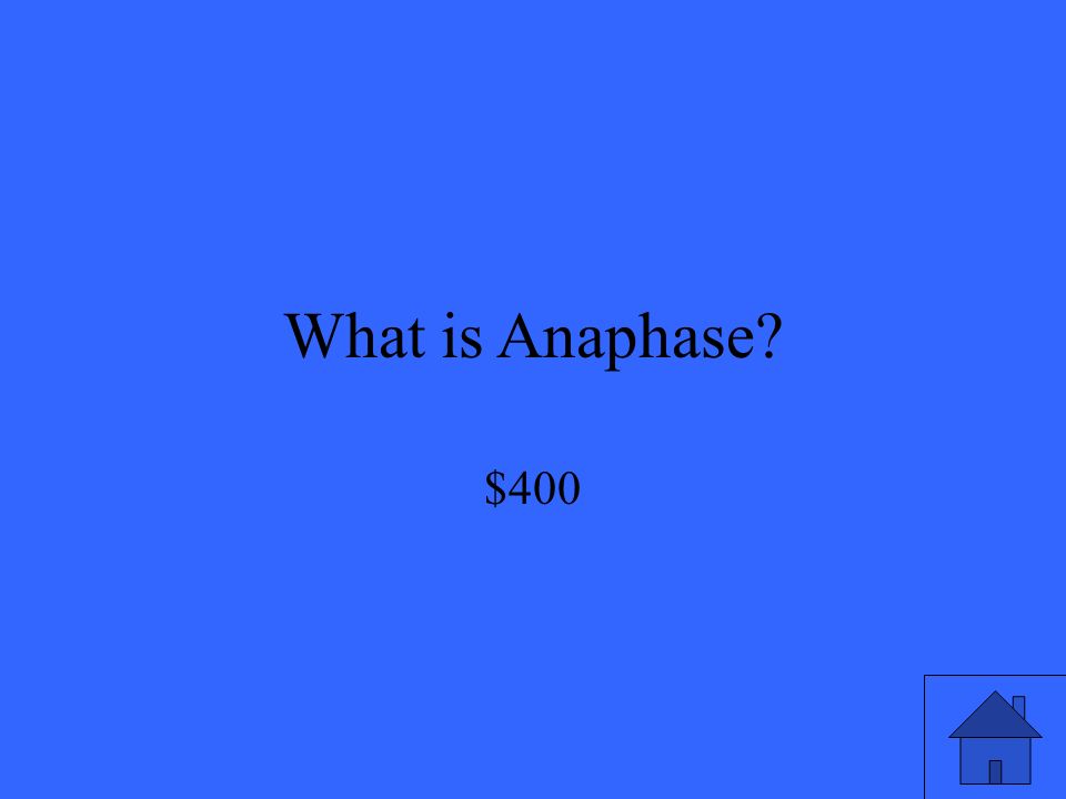 What is Anaphase $400