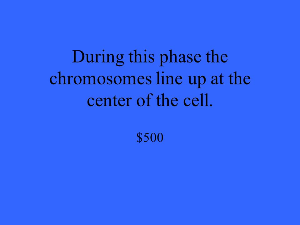 During this phase the chromosomes line up at the center of the cell. $500