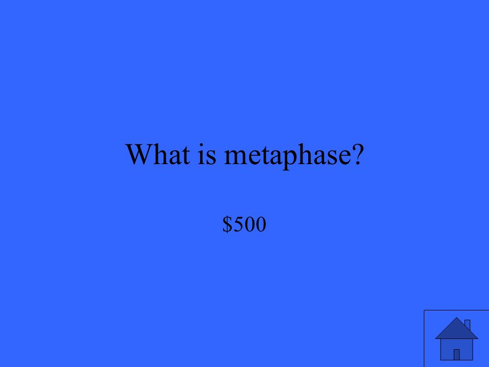 What is metaphase $500