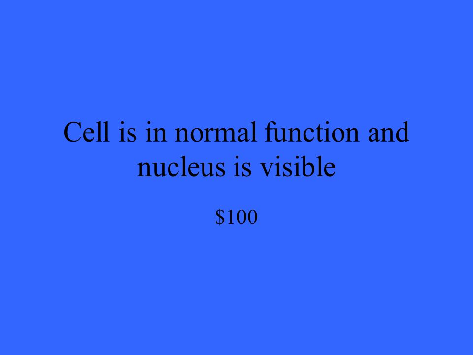 Cell is in normal function and nucleus is visible $100