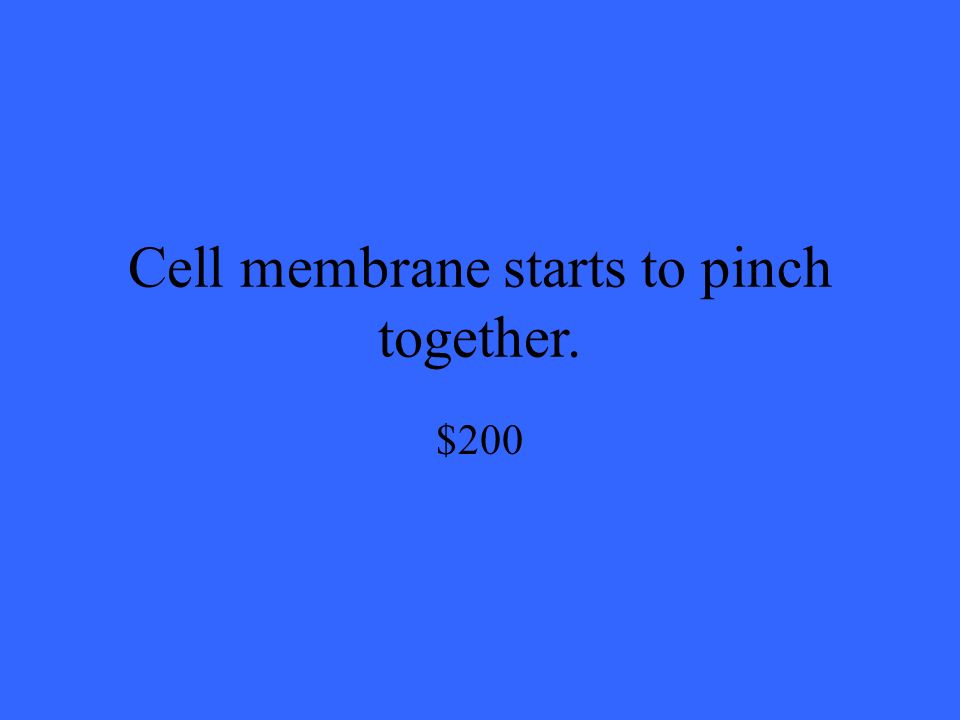 Cell membrane starts to pinch together. $200