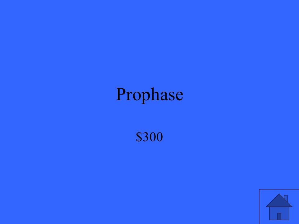 Prophase $300