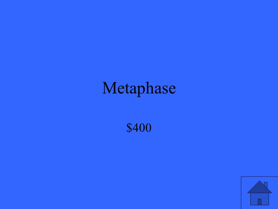 Metaphase $400