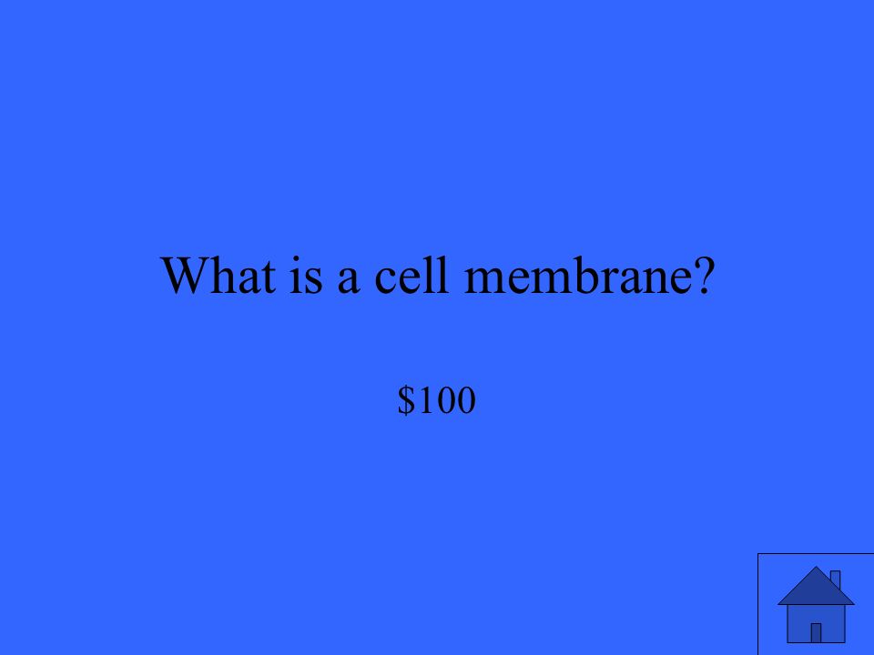 What is a cell membrane $100
