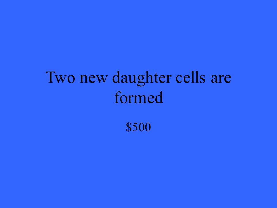 Two new daughter cells are formed $500