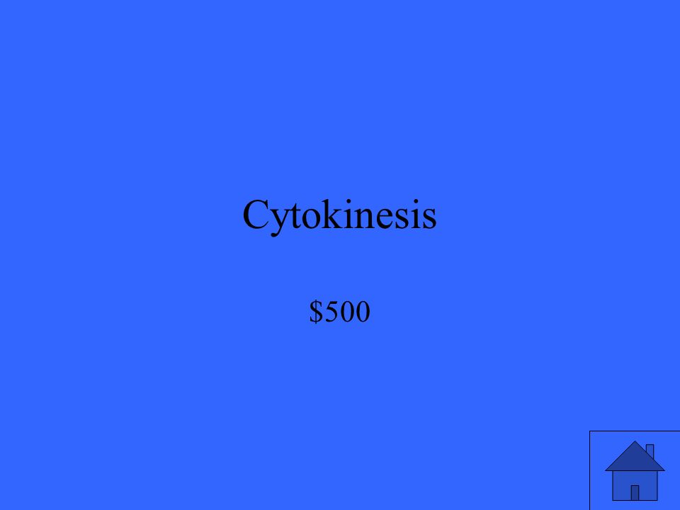 Cytokinesis $500