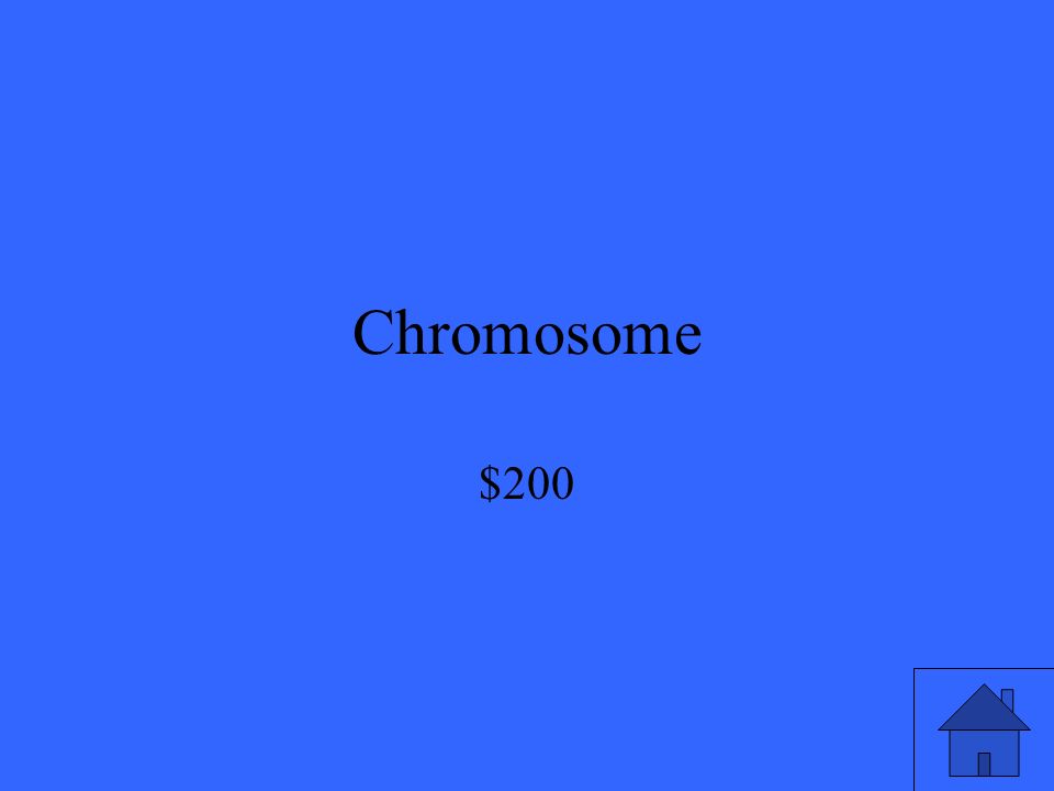 Chromosome $200