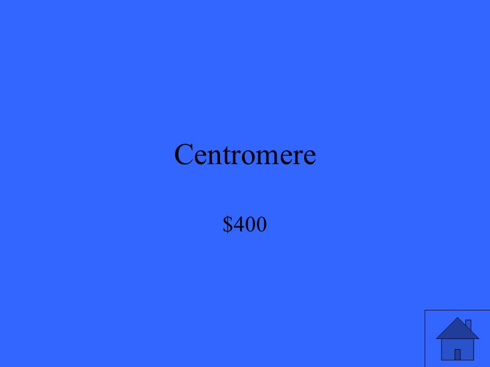 Centromere $400