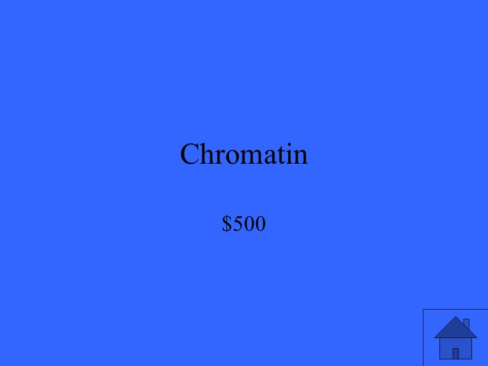 Chromatin $500