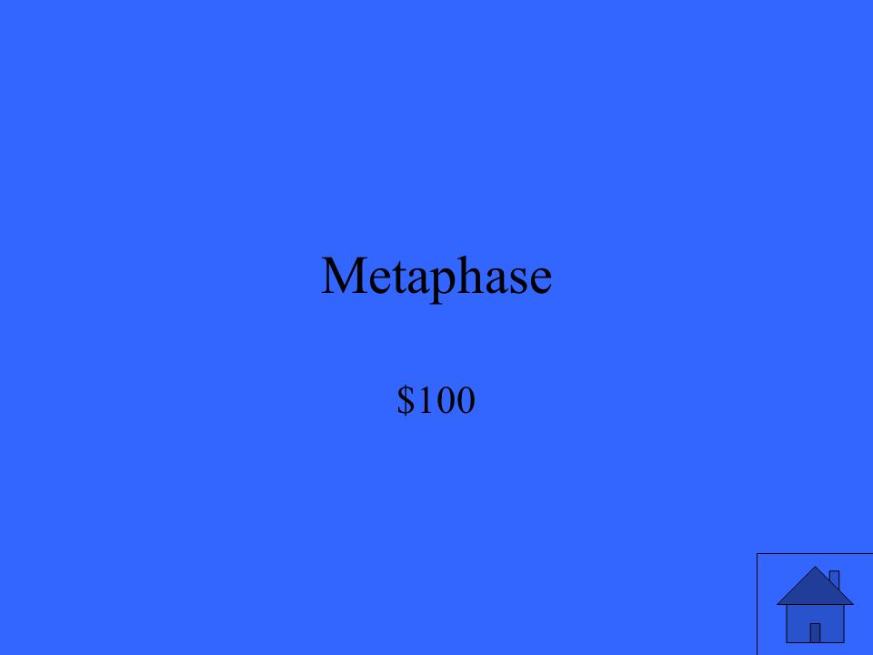 Metaphase $100