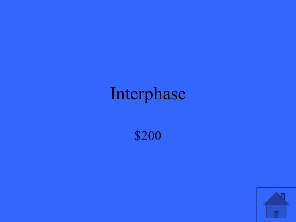 Interphase $200