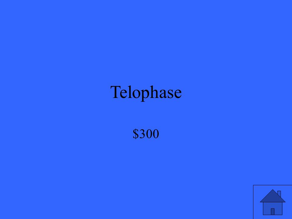 Telophase $300