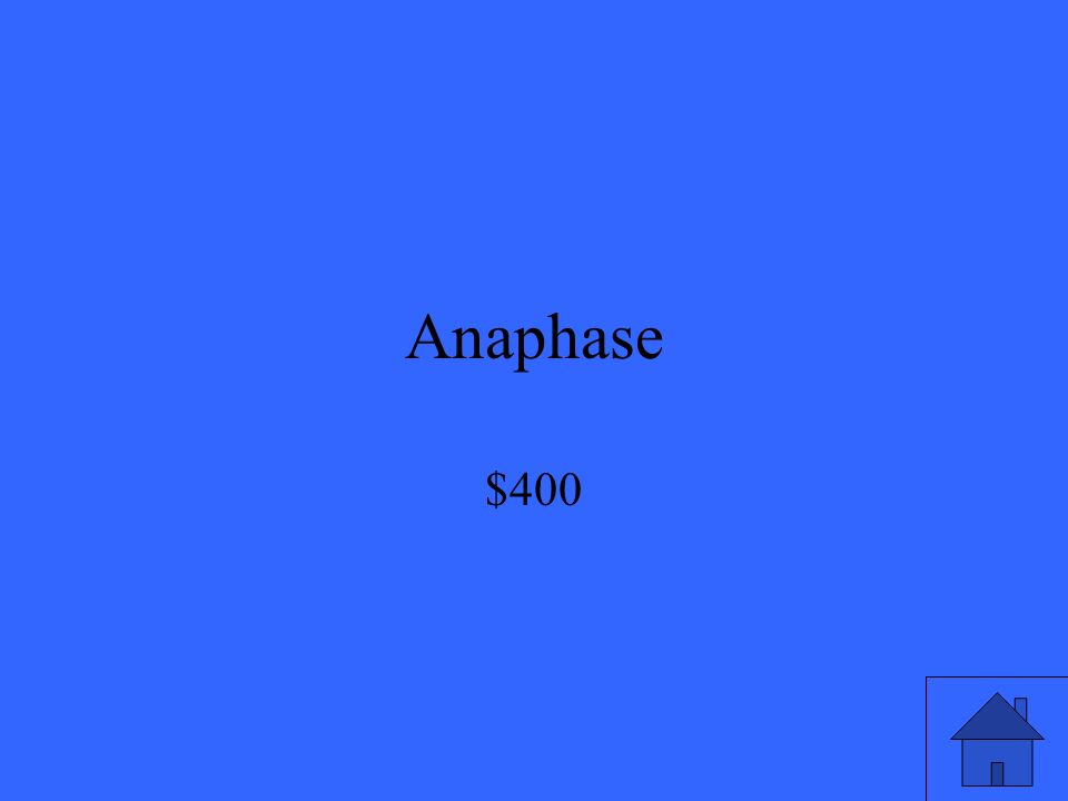 Anaphase $400