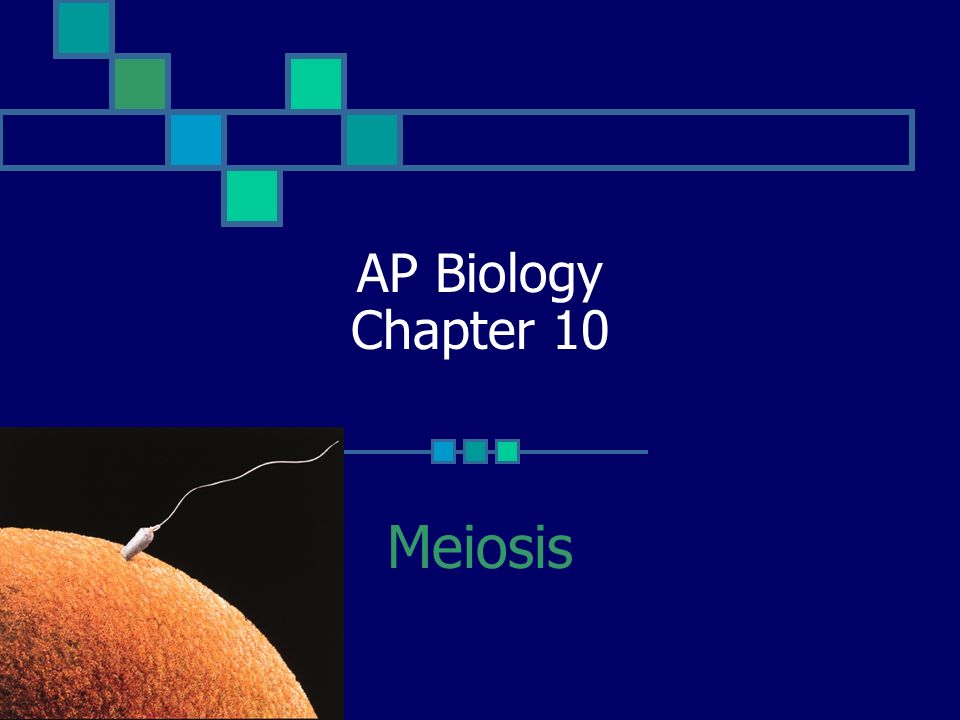 Biology Essays