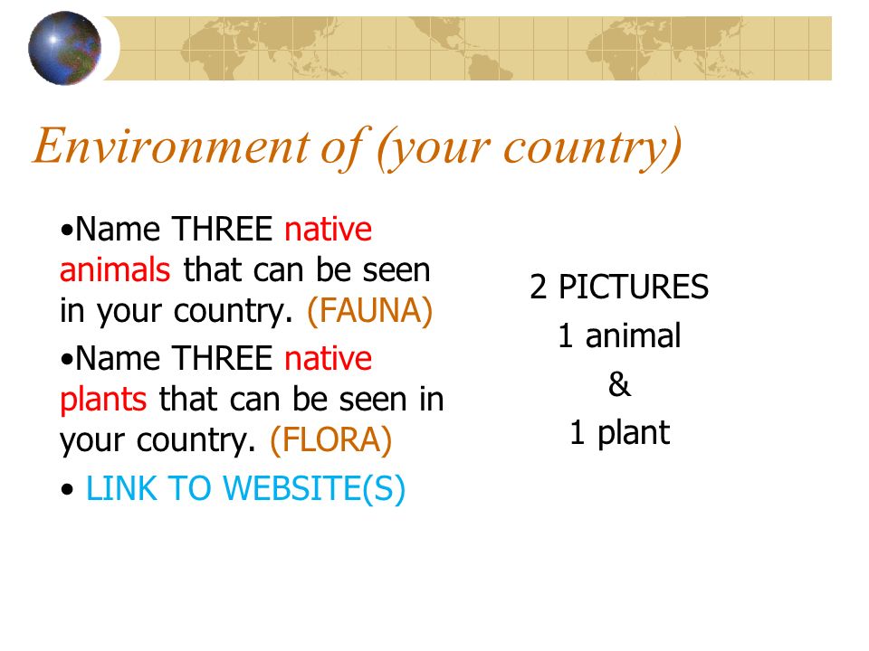 Environment of (your country) Name THREE native animals that can be seen in your country.