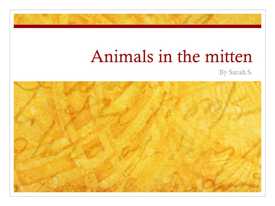 Animals in the mitten By Sarah S.