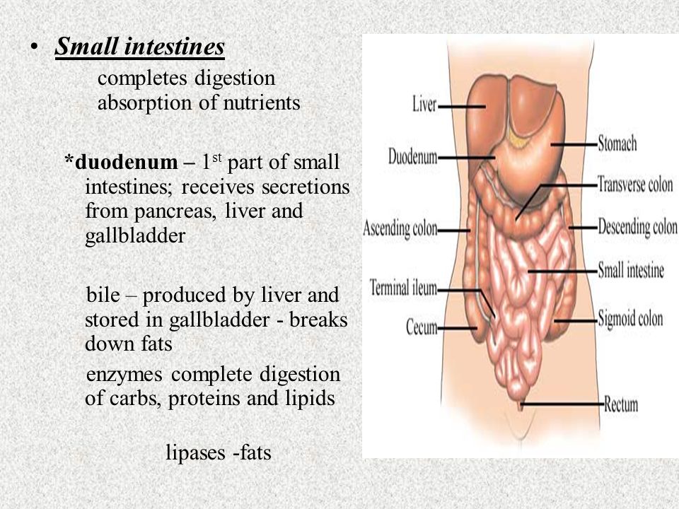 Reasons for weight loss in cancer picture 6