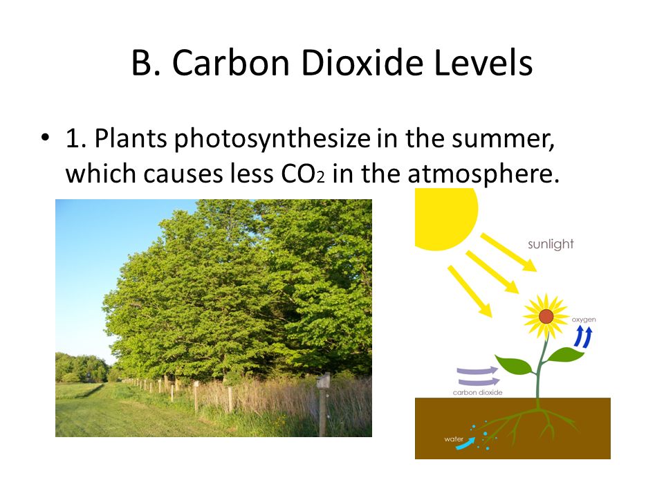 B. Carbon Dioxide Levels 1.