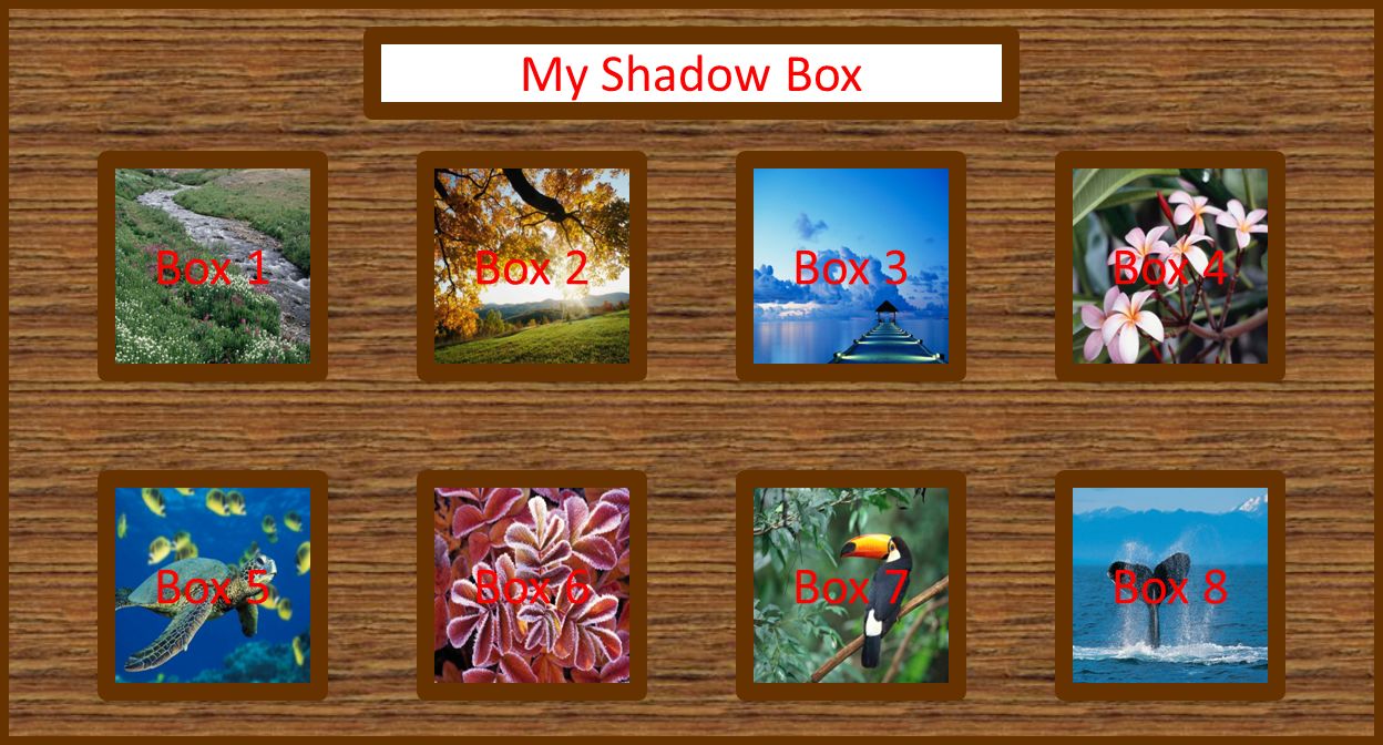 Box 1Box 4Box 3Box 2 Box 5Box 8Box 7Box 6 My Shadow Box