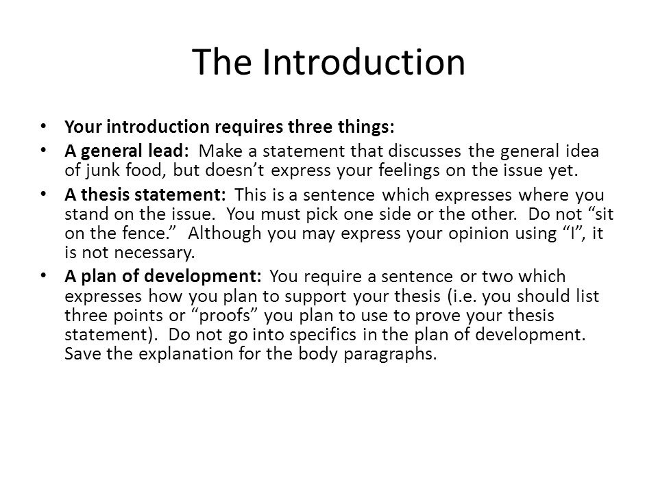 junk food essay