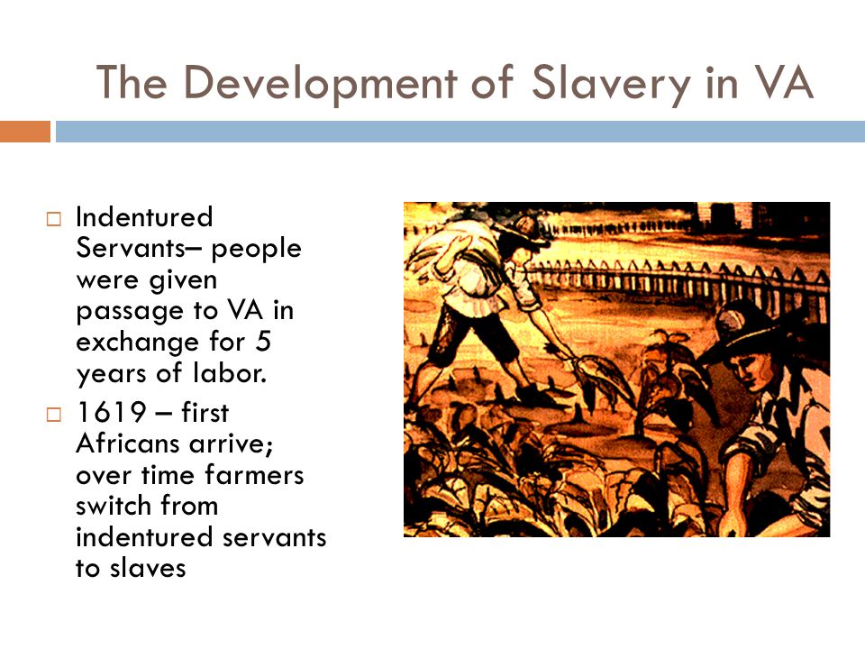 The Development of Slavery in VA  Indentured Servants– people were given passage to VA in exchange for 5 years of labor.