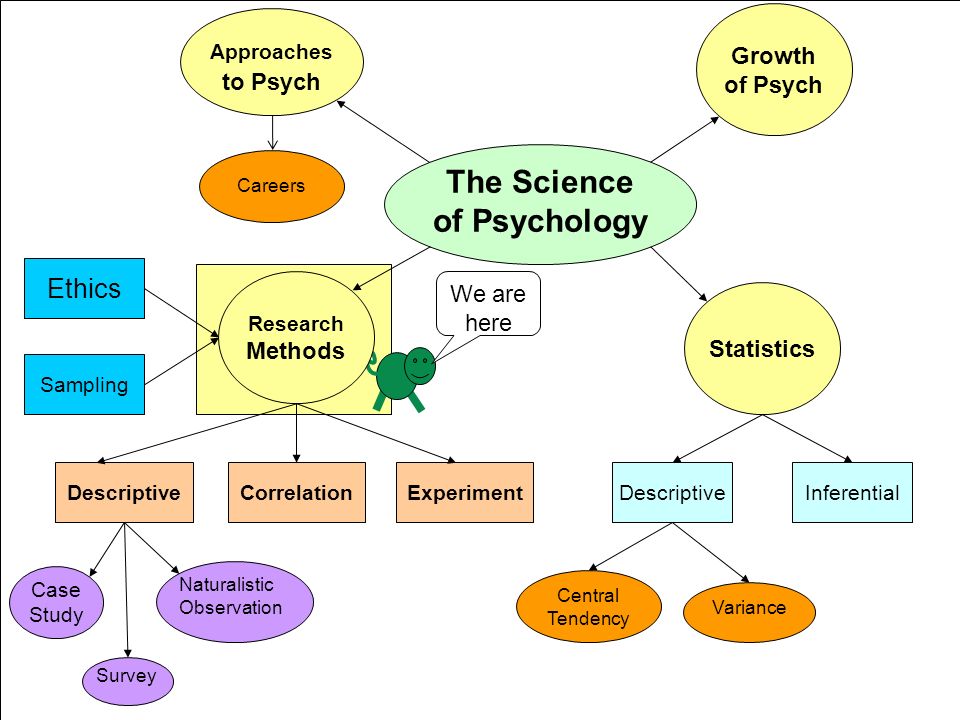 use of case study method in business research use of case study method in business research