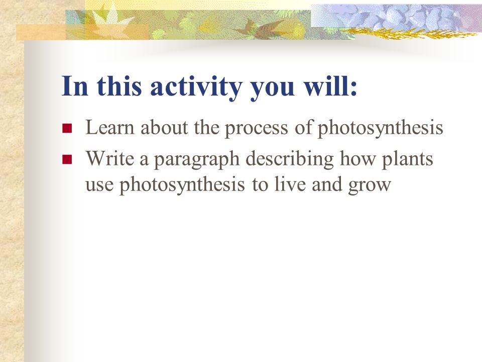 In this activity you will: Learn about the process of photosynthesis Write a paragraph describing how plants use photosynthesis to live and grow