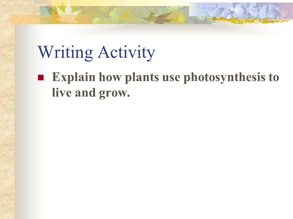 Writing Activity Explain how plants use photosynthesis to live and grow.