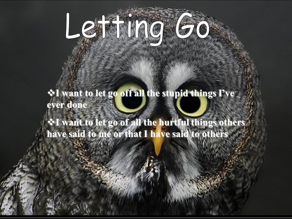  I want to let go off all the stupid things I’ve ever done  I want to let go of all the hurtful things others have said to me or that I have said to others